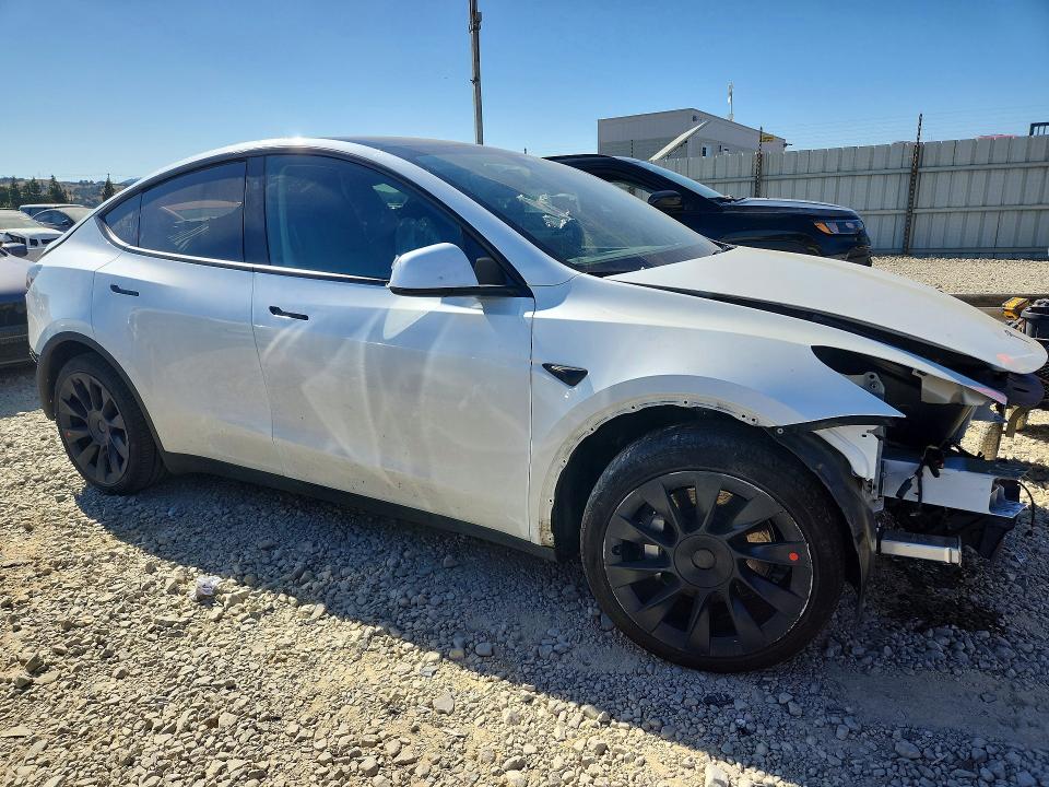 Продажа на аукционе авто 2024 Tesla Model Y, vin: 7SAYGAEE2RF008613, номер лота: 54869436