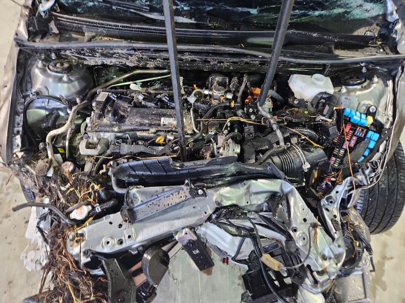 53313536 :رقم المزاد ، 4T1DAACK7TU664404 vin ، 2026 Toyota Camry مزاد بيع