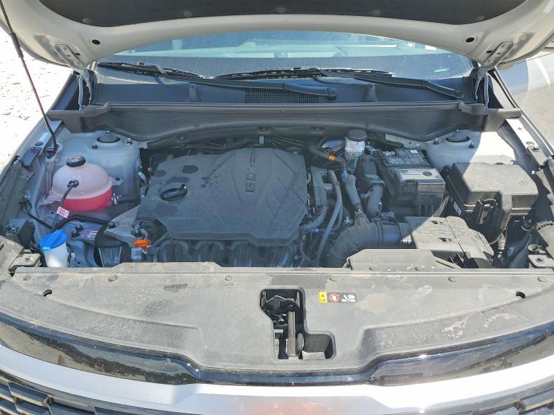 54982406 :رقم المزاد ، 5XYK33DF5TG396828 vin ، 2026 Kia Sportage مزاد بيع