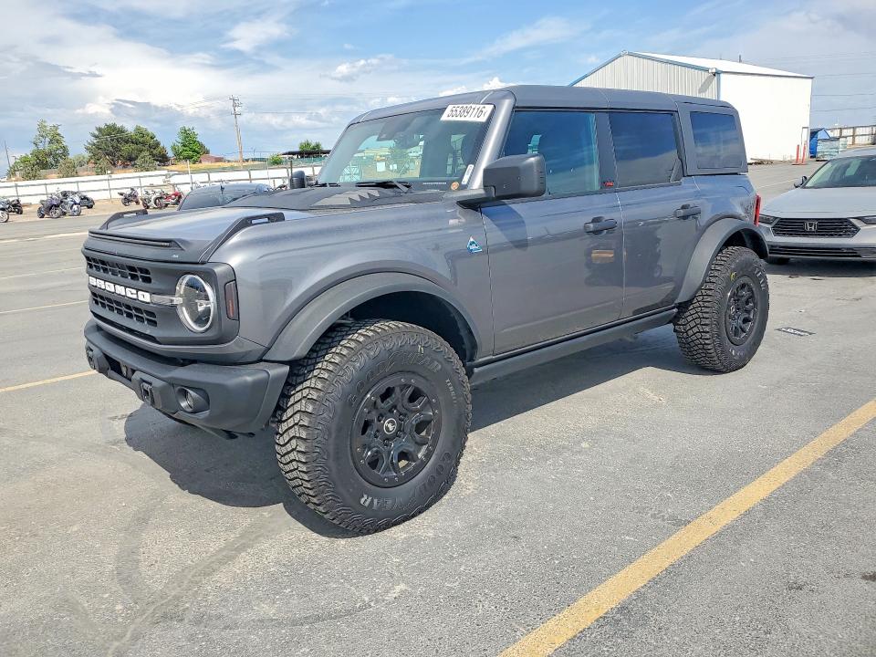 Продажа на аукционе авто 2024 Ford Bronco, vin: 1FMEE1BP0RLB50768, номер лота: 55389116
