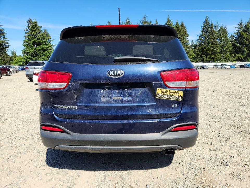 Auction sale of the 2017 Kia Sorento, vin: 5XYPGDA58HG335363, lot number: 54134226