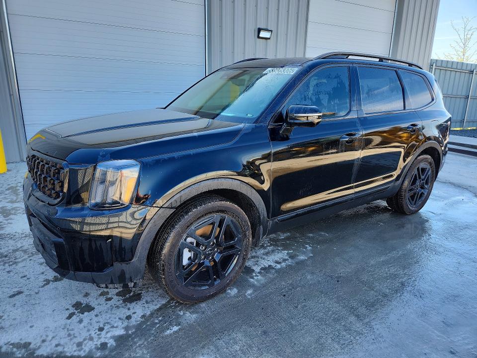 Продаж на аукціоні авто 2025 Kia Telluride, vin: 5XYP5DGC0SG632436, номер лоту: 53925306