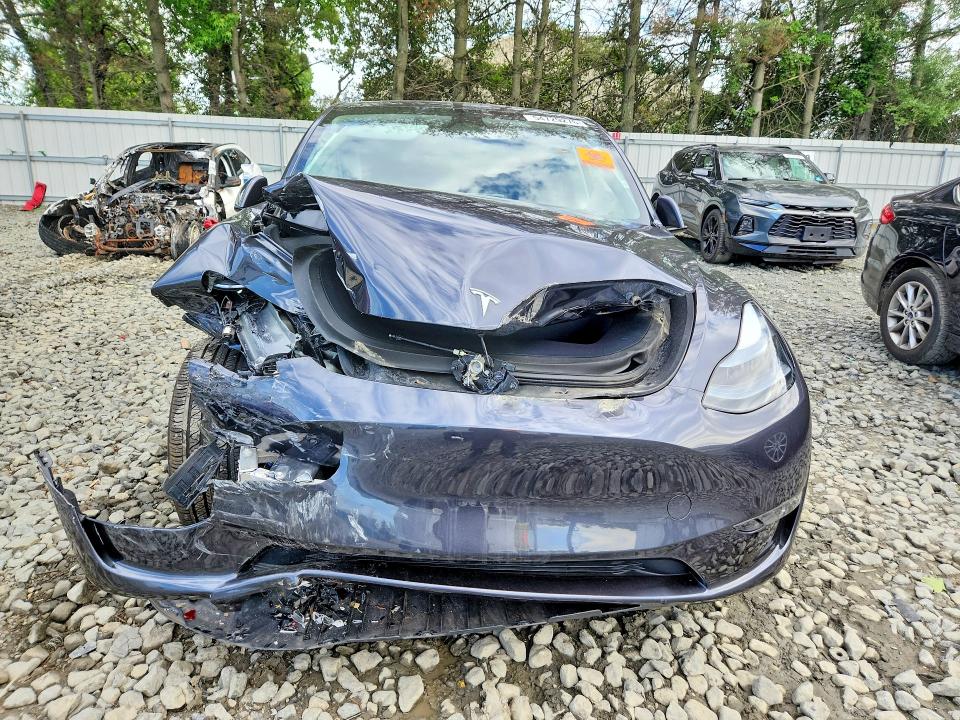 Aukcja sprzedaży 2024 Tesla Model Y, vin: 7SAYGDEE8RA328808, numer aukcji: 54729276