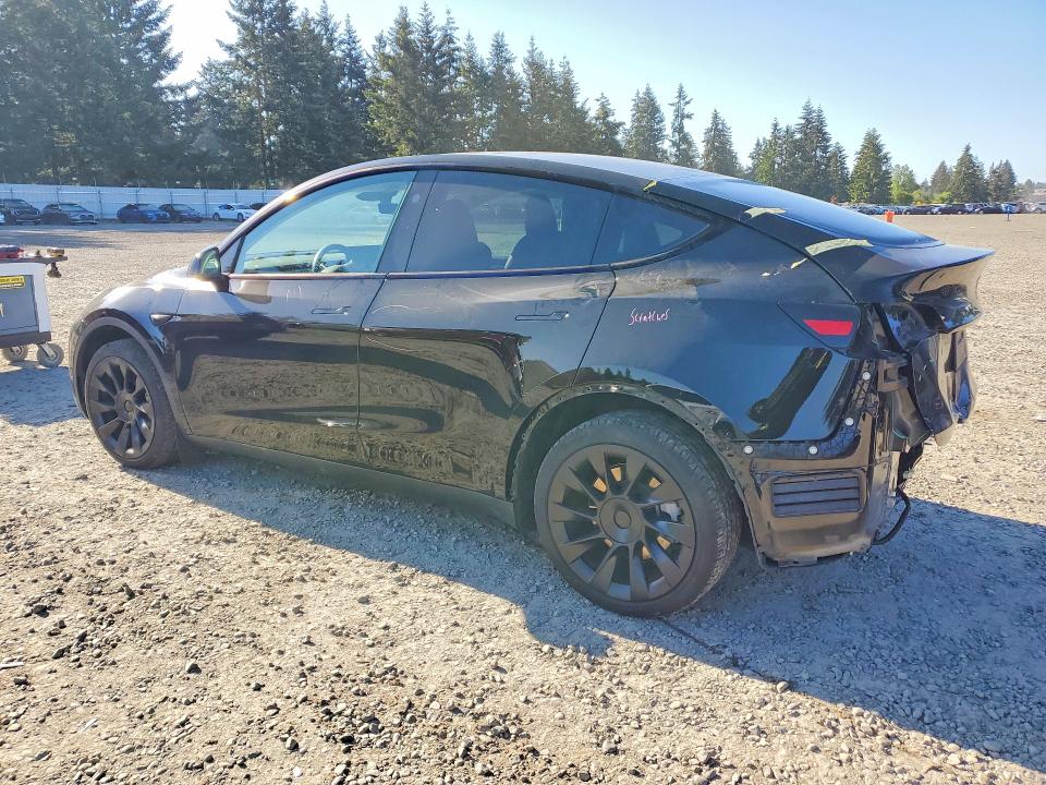 Продаж на аукціоні авто 2024 Tesla Model Y, vin: 7SAYGDED8RF086063, номер лоту: 53909236