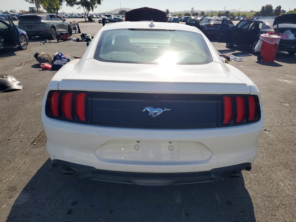 53426376 :رقم المزاد ، 1FA6P8TH7P5103635 vin ، 2023 Ford Mustang مزاد بيع