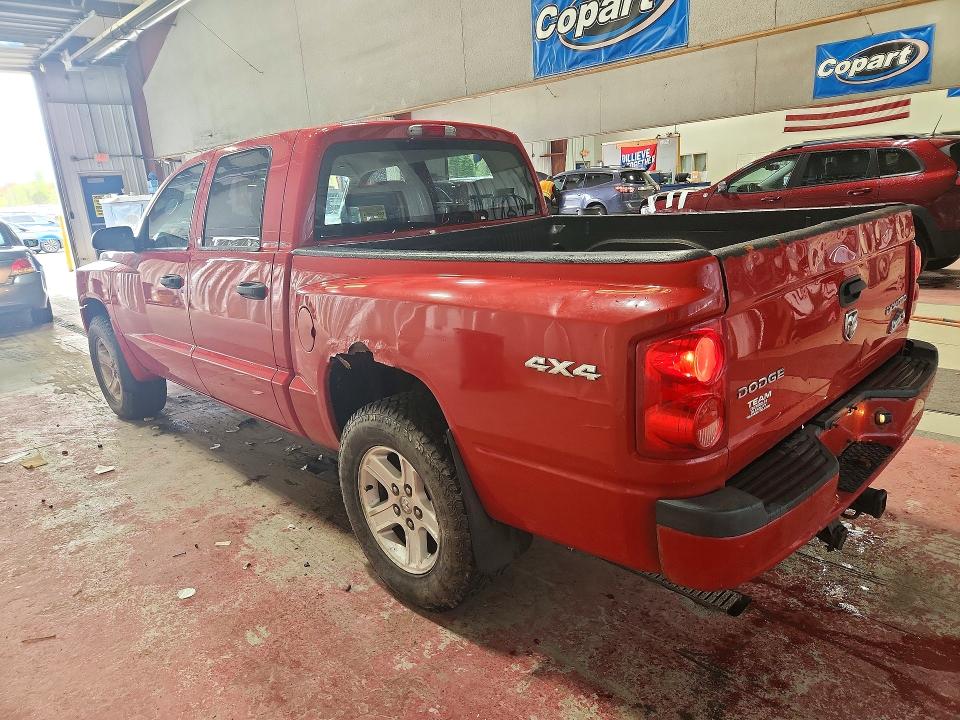 52753566 :رقم المزاد ، 1D7RW3GK4BS537076 vin ، 2011 Dodge Dakota مزاد بيع