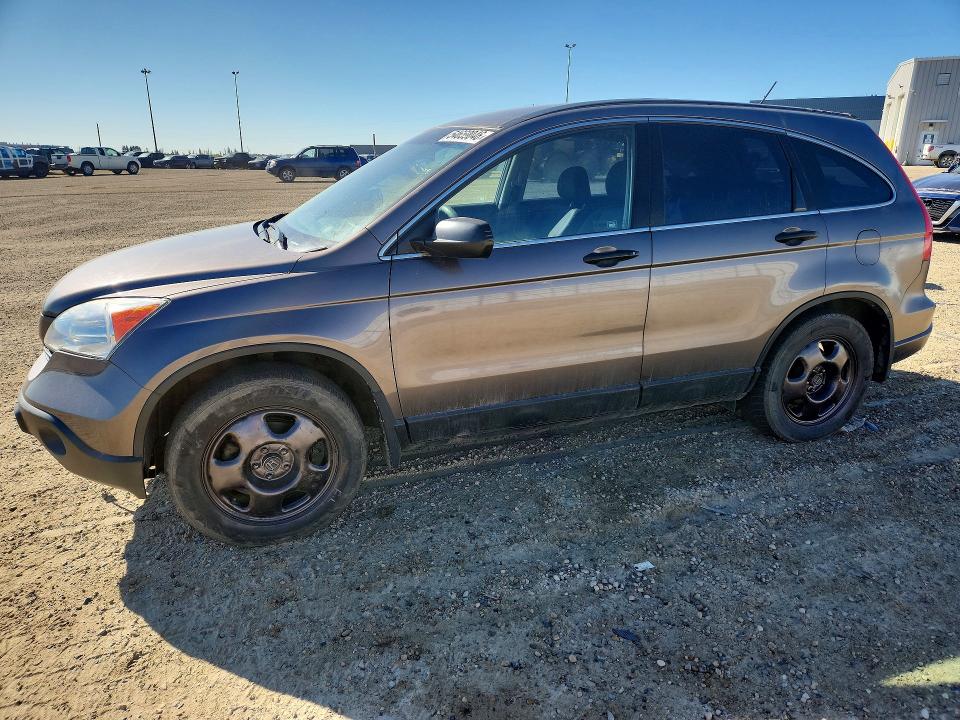 Auction sale of the 2009 Honda Cr-v, vin: 5J6RE48379L807779, lot number: 54659046