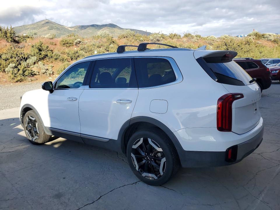 Продажа на аукционе авто 2025 Kia Telluride, vin: 5XYP6DGC6SG583580, номер лота: 55563676
