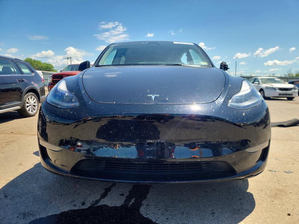 Продаж на аукціоні авто 2023 Tesla Model Y, vin: 7SAYGDEE0PA195006, номер лоту: 55171556