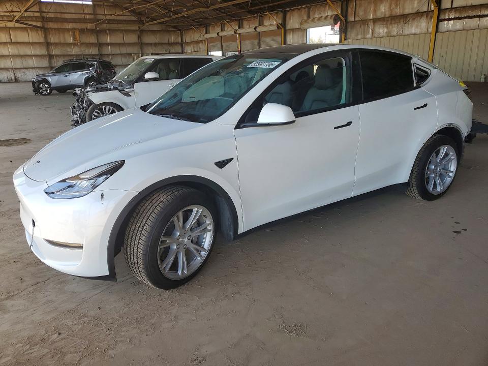 Продаж на аукціоні авто 2023 Tesla Model Y, vin: 7SAYGDEE4PA030110, номер лоту: 53997706