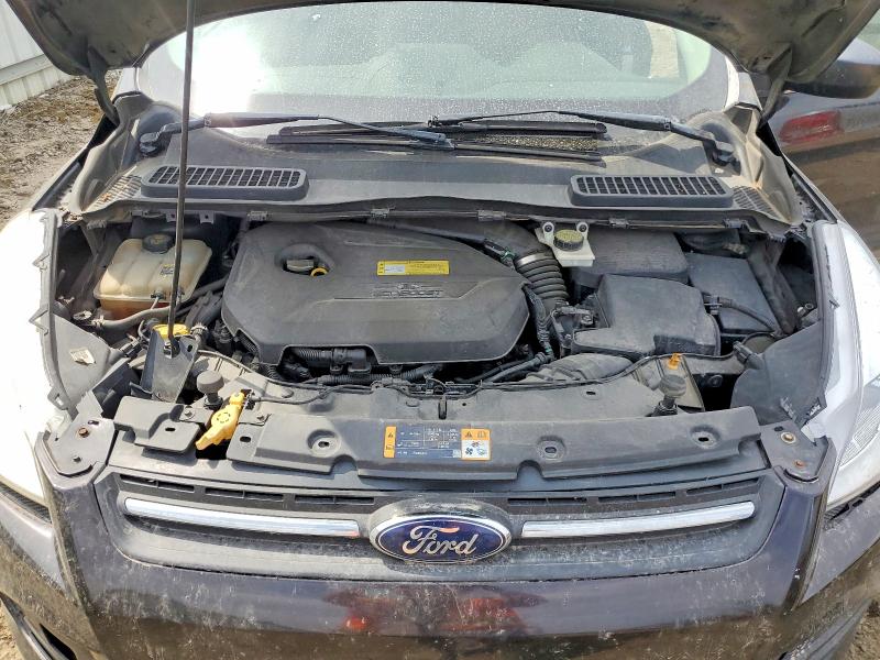 Продаж на аукціоні авто 2013 Ford Escape, vin: 1FMCU0GX6DUB11490, номер лоту: 52889636