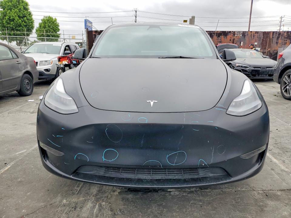 Aukcja sprzedaży 2023 Tesla Model Y, vin: 7SAYGDEF9PF664251, numer aukcji: 53281816
