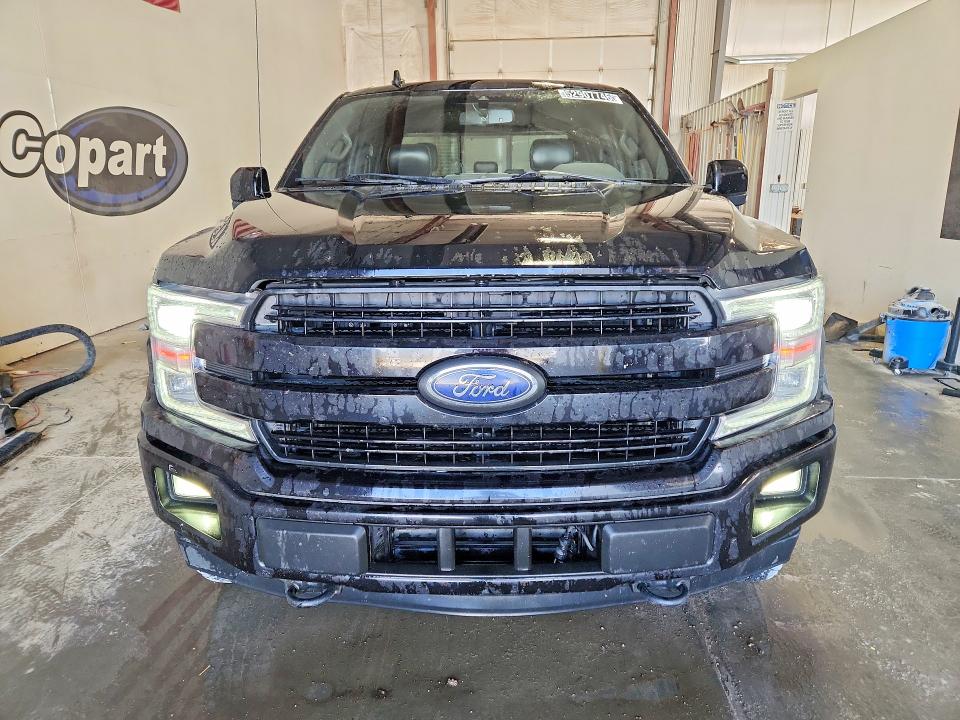 Продаж на аукціоні авто 2019 Ford F150, vin: 1FTEW1EP5KFB40416, номер лоту: 52907746