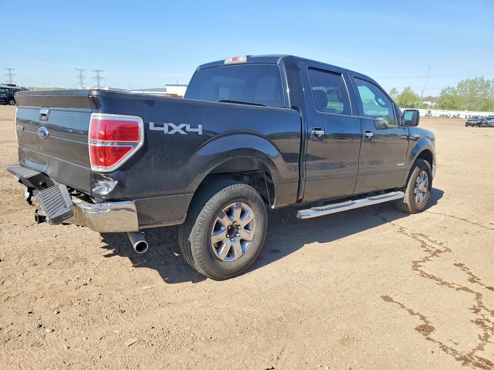 53587836 :رقم المزاد ، 1FTFW1ET0DFB89110 vin ، 2013 Ford F150 مزاد بيع