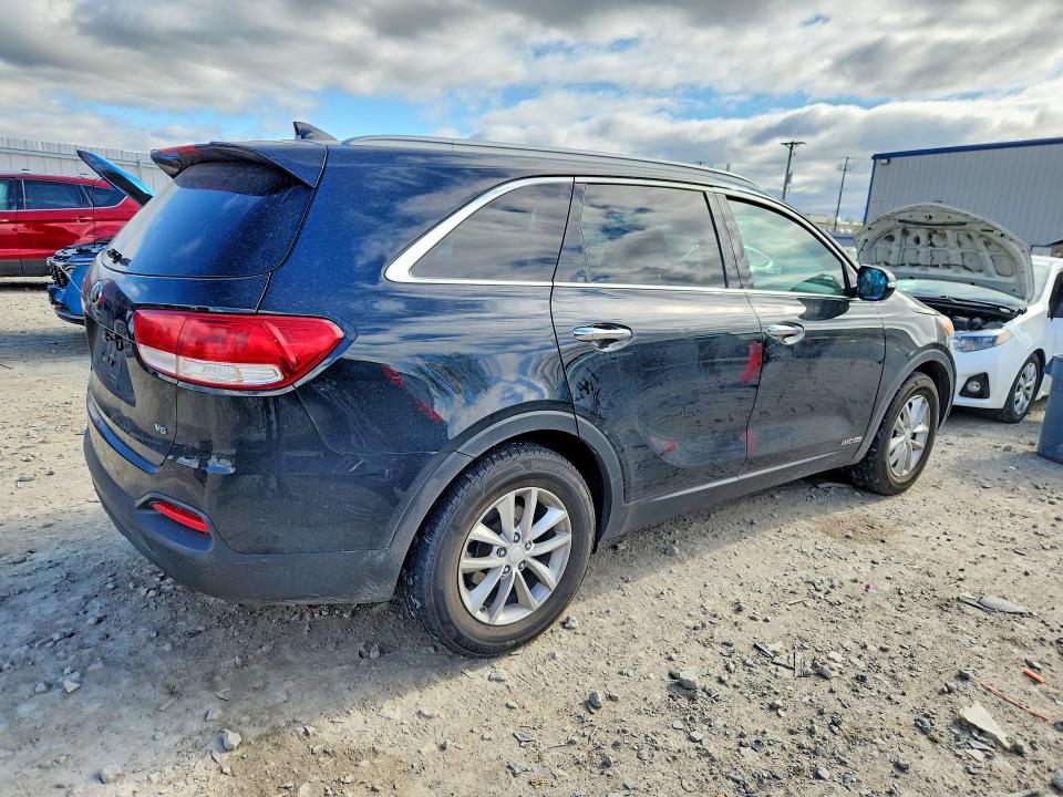 53393116 :رقم المزاد ، 5XYPGDA56GG005672 vin ، 2016 Kia Sorento مزاد بيع
