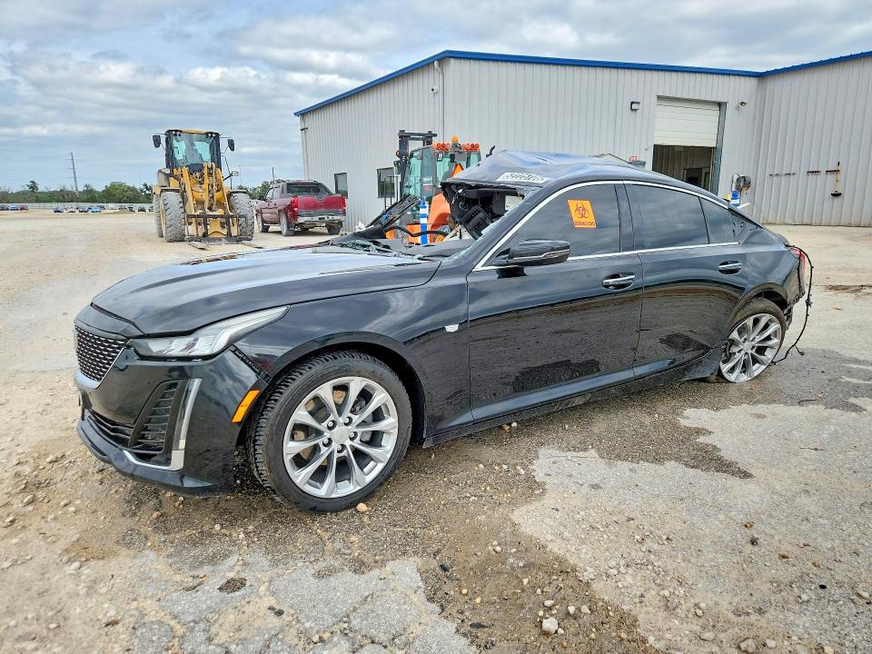Auction sale of the 2023 Cadillac Ct5, vin: 1G6DN5RK0P0133410, lot number: 52225706