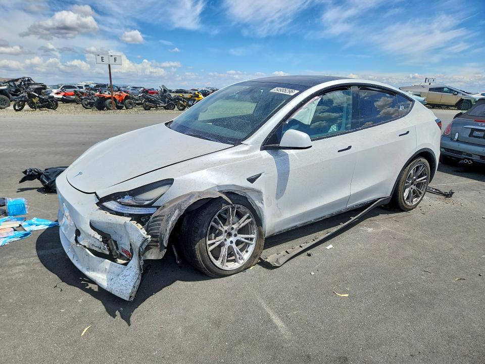 Продаж на аукціоні авто 2023 Tesla Model Y, vin: 7SAYGDEE0PA083337, номер лоту: 54985296