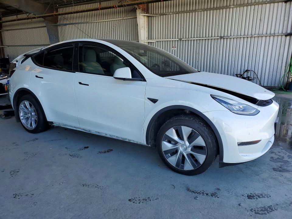 53596986 :رقم المزاد ، 5YJYGDEE0MF240506 vin ، 2021 Tesla Model Y مزاد بيع