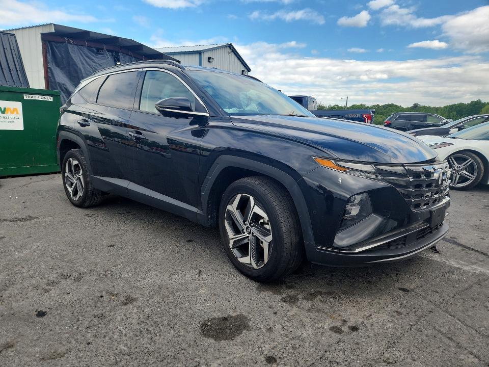 Продажа на аукционе авто 2024 Hyundai Tucson, vin: 5NMJECDE8RH329569, номер лота: 53987266