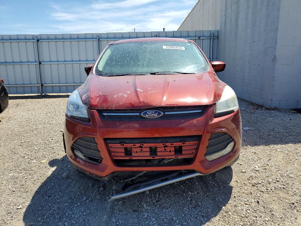 Продаж на аукціоні авто 2014 Ford Escape, vin: 1FMCU9G9XEUA62897, номер лоту: 53985656