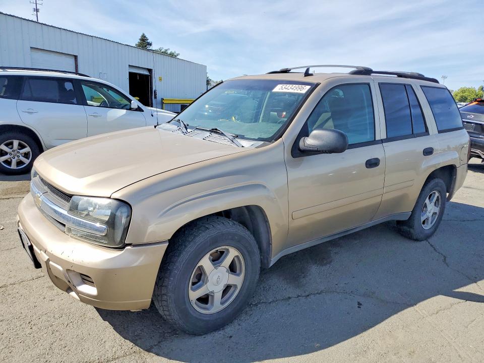 53434996 :رقم المزاد ، 1GNDT13S462200640 vin ، 2006 Chevrolet Trailblazer مزاد بيع
