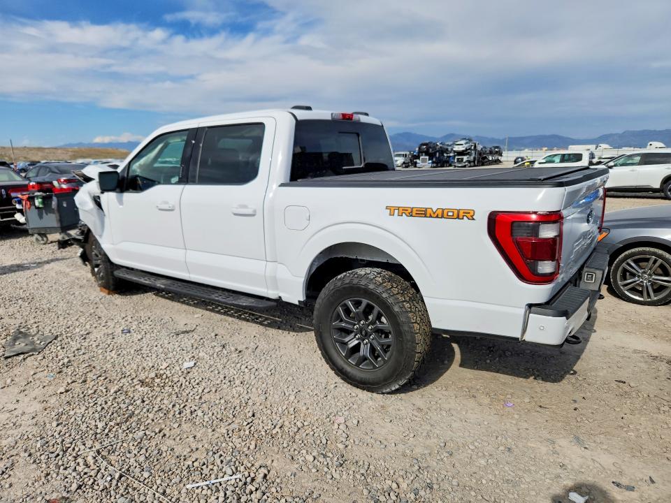 Продажа на аукционе авто 2022 Ford F150, vin: 1FTEW1E81NFB36490, номер лота: 52838736
