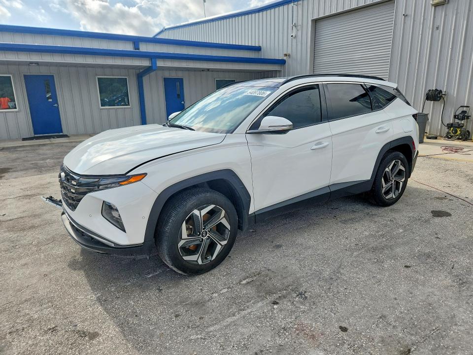 54097806 :رقم المزاد ، 5NMJE3DE5RH385730 vin ، 2024 Hyundai Tucson مزاد بيع