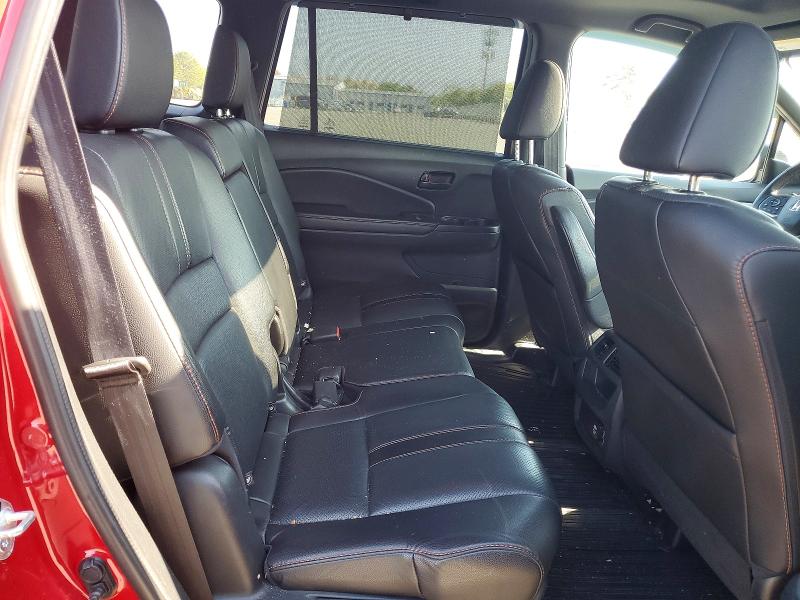 Продаж на аукціоні авто 2023 Honda Passport, vin: NY77540, номер лоту: 53203936