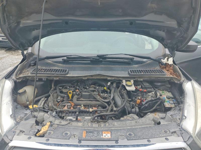 Продажа на аукционе авто 2017 Ford Escape, vin: 1FMCU0GDXHUE85760, номер лота: 51699996