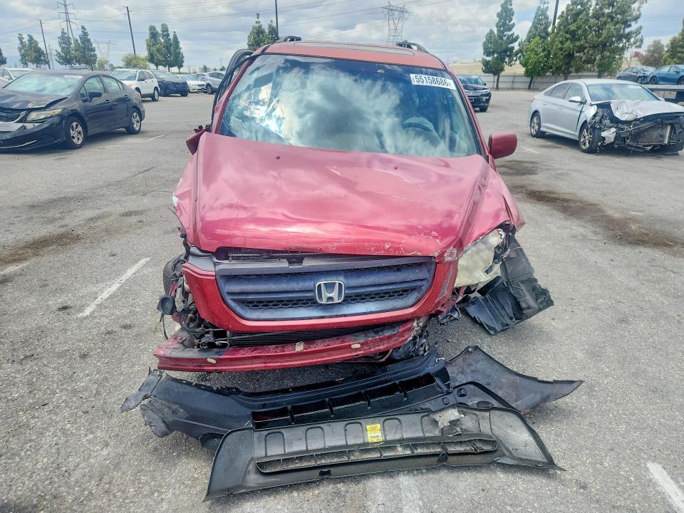 2005 Honda Pilot მანქანა იყიდება აუქციონზე, vin: 2HKYF18795H569903, აუქციონის ნომერი: 55158686