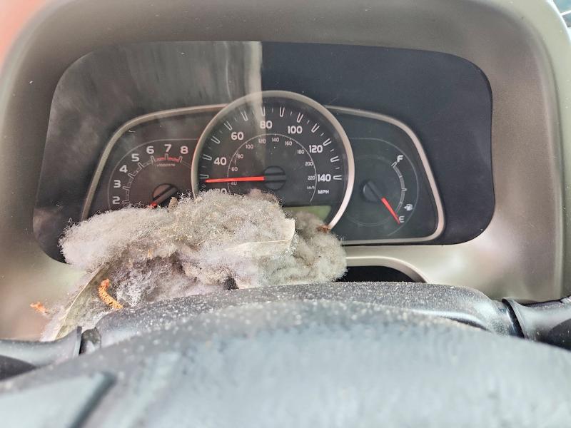 2015 Toyota Rav4 მანქანა იყიდება აუქციონზე, vin: 2T3WFREV6FW182423, აუქციონის ნომერი: 54842536