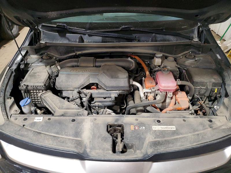 2024 Kia Sportage მანქანა იყიდება აუქციონზე, vin: KNDPUCDG4R7136454, აუქციონის ნომერი: 55456976