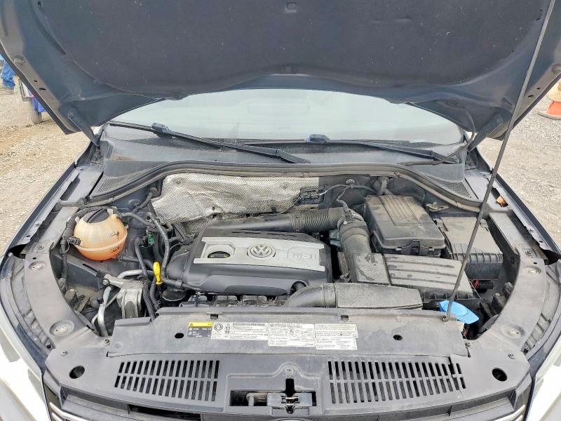 53990996 :رقم المزاد ، WVGBV7AX5GW011982 vin ، 2016 Volkswagen Tiguan مزاد بيع