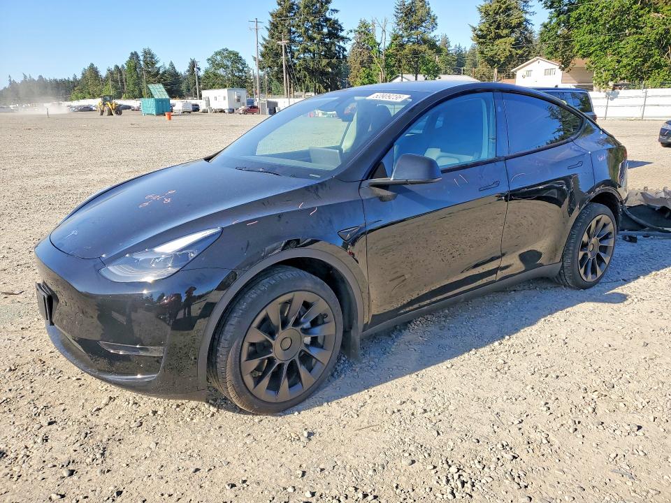 Продаж на аукціоні авто 2024 Tesla Model Y, vin: 7SAYGDED8RF086063, номер лоту: 53909236