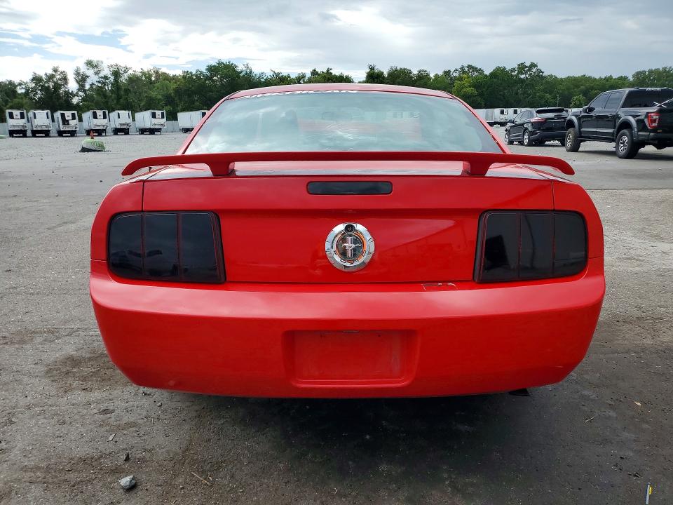 Продаж на аукціоні авто 2005 Ford Mustang, vin: 1ZVFT80NX55195382, номер лоту: 53635866