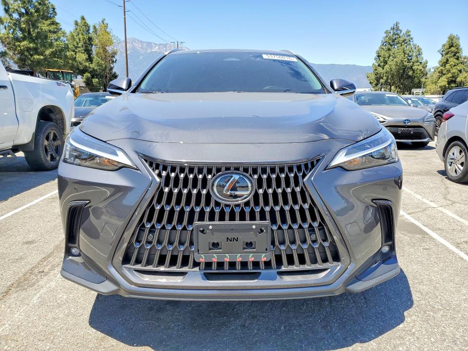 Продаж на аукціоні авто 2025 Lexus Nx, vin: 2T2GDCAZ8SC031583, номер лоту: 53750016