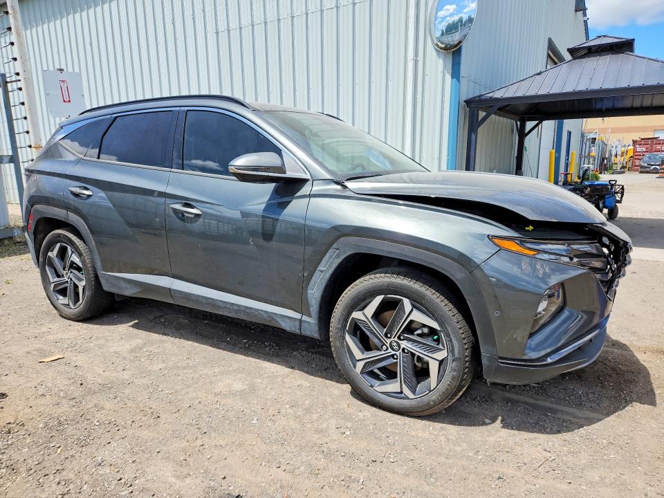 Продажа на аукционе авто 2024 Hyundai Tucson, vin: KM8JCCD11RU195592, номер лота: 54592346