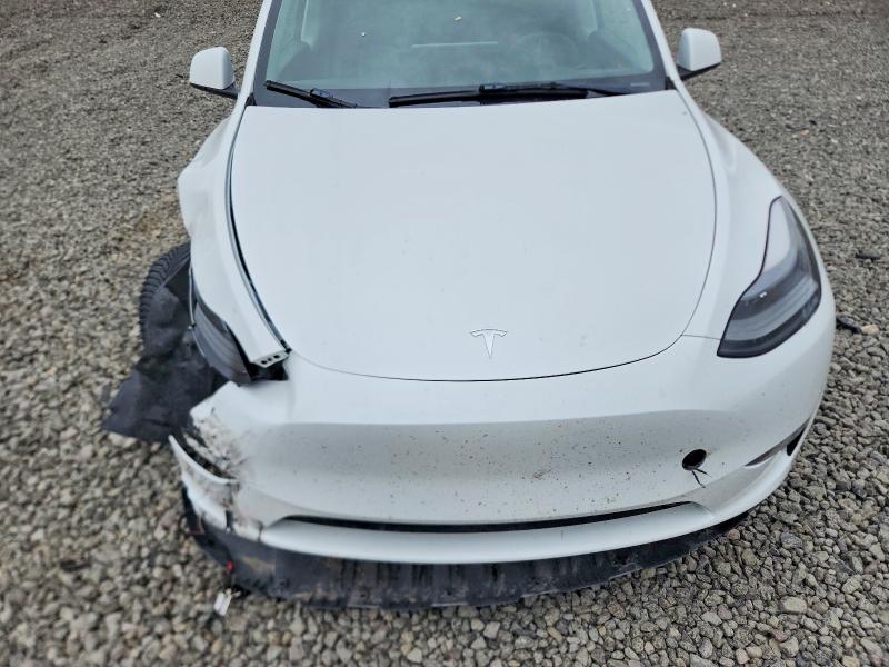 Продажа на аукционе авто 2023 Tesla Model Y, vin: 7SAYGDEE2PF895726, номер лота: 54882266