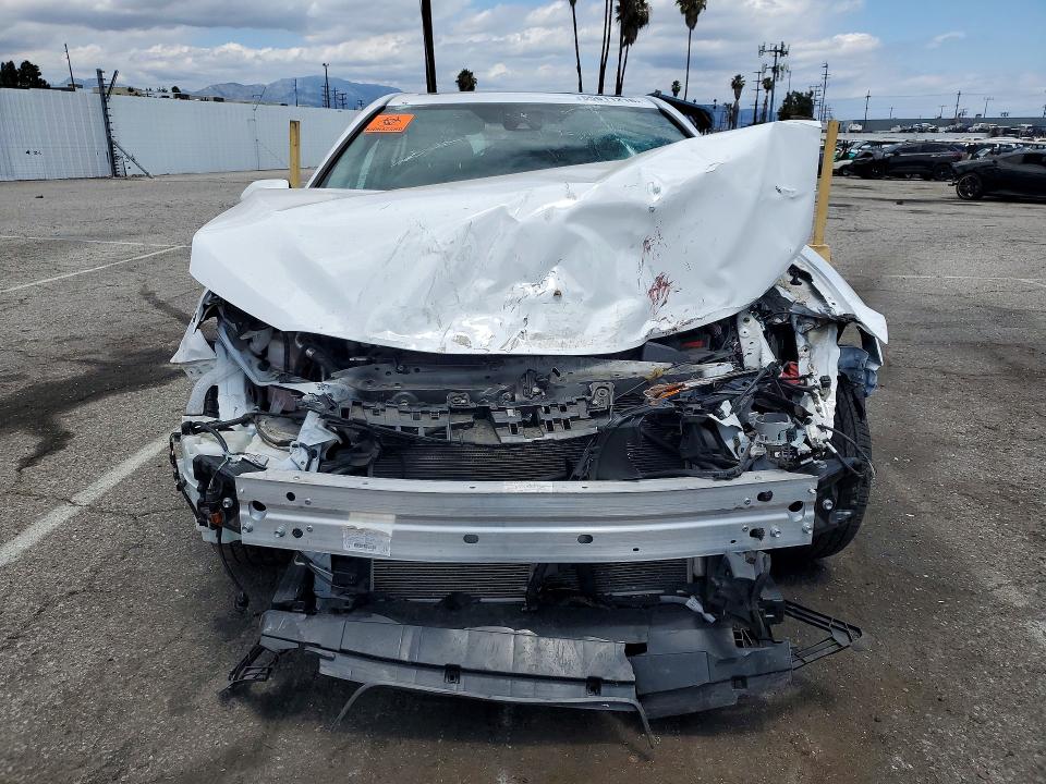 55611216 :رقم المزاد ، 4T1B11HK9KU181401 vin ، 2019 Toyota Camry مزاد بيع