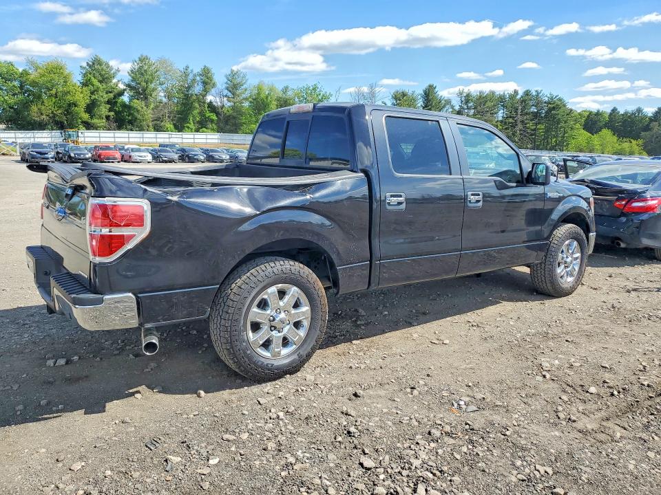 Продаж на аукціоні авто 2014 Ford F150, vin: 1FTFW1CF9EKF43812, номер лоту: 53922226