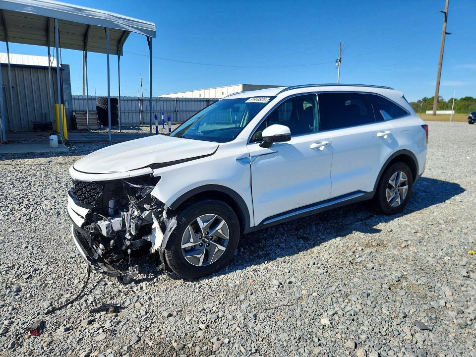 Auction sale of the 2023 Kia Sorento, vin: KNDRH4LG3P5159043, lot number: 51958806