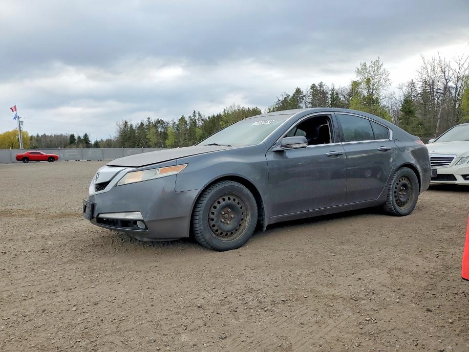 Продажа на аукционе авто 2009 Acura Tl, vin: 19UUA86529A801232, номер лота: 51981476