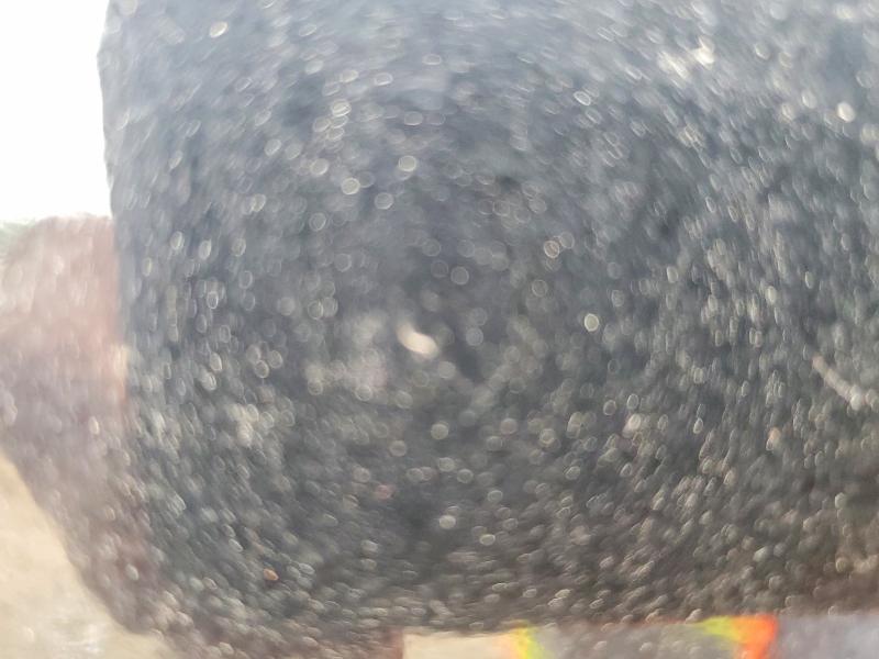 52887256 :رقم المزاد ، 4P51D1822T1431609 vin ، 2026 Pj D7142 مزاد بيع