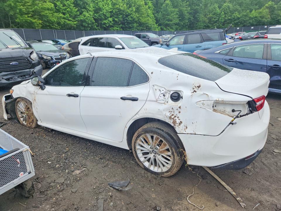 55253776 :رقم المزاد ، 4T1B11HK9KU767791 vin ، 2019 Toyota Camry مزاد بيع