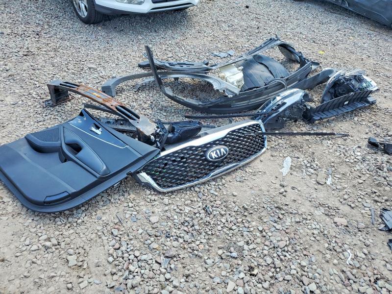 53531256 :رقم المزاد ، 5XYPGDA36HG244784 vin ، 2017 Kia Sorento مزاد بيع