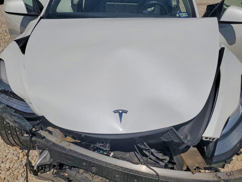 54264056 :رقم المزاد ، 5YJYGDEE6MF191330 vin ، 2021 Tesla Model Y مزاد بيع