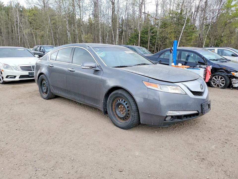 Продажа на аукционе авто 2009 Acura Tl, vin: 19UUA86529A801232, номер лота: 51981476