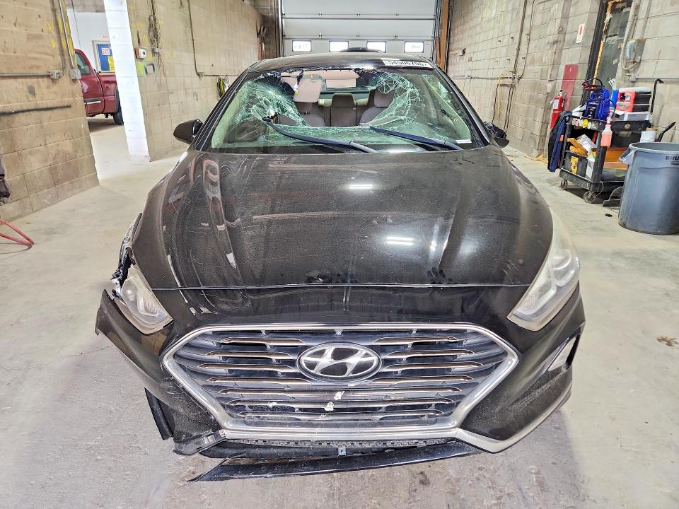 Продаж на аукціоні авто 2018 Hyundai Sonata, vin: 5NPE24AF9JH606377, номер лоту: 54506706