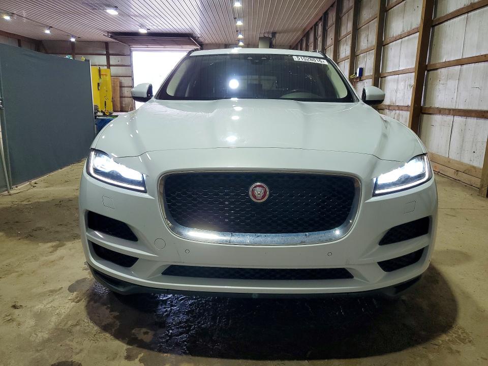 Продаж на аукціоні авто 2018 Jaguar F-pace, vin: SADCK2FX0JA263760, номер лоту: 51528016