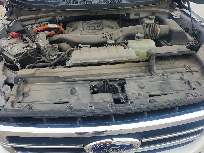 2021 Ford F150 მანქანა იყიდება აუქციონზე, vin: 1FTFW1ED4MFC89185, აუქციონის ნომერი: 53190066